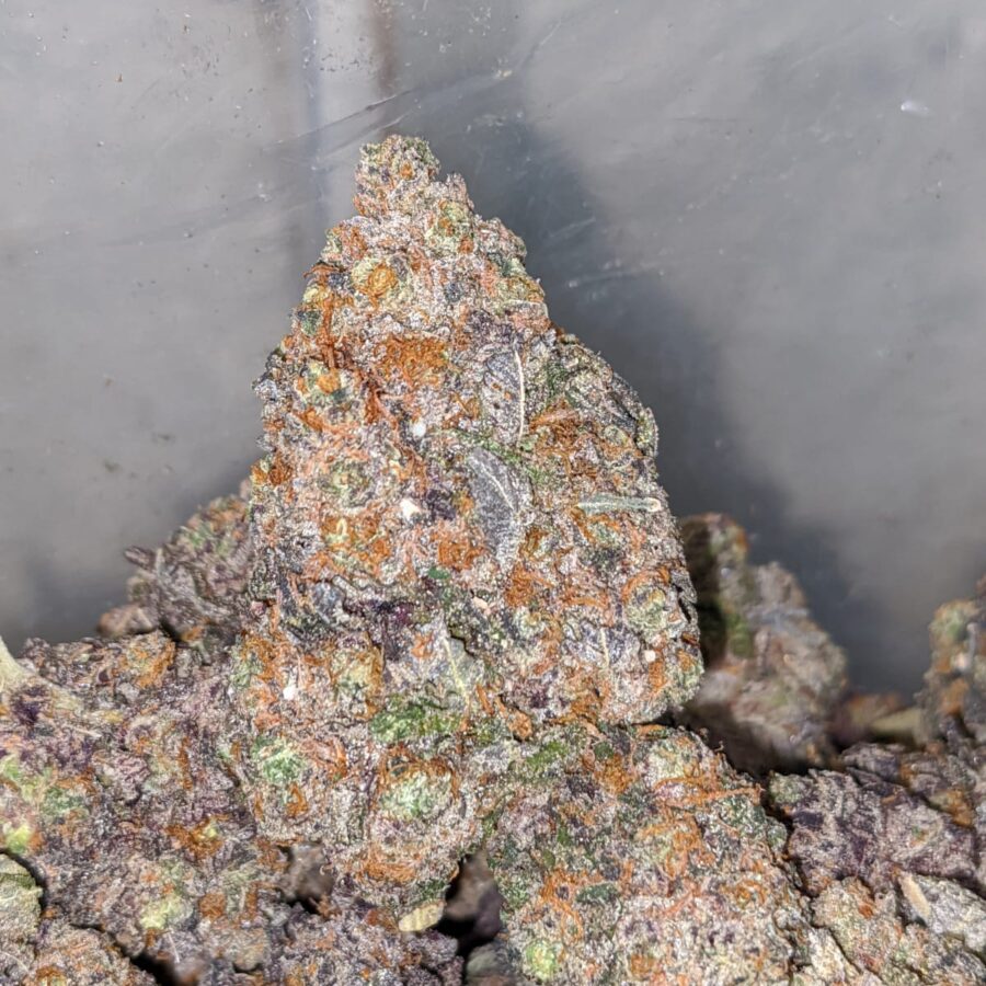 black cherry rocket 2 I Black Cherry Rocket