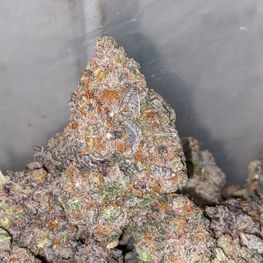 black cherry rocket 2 I Black Cherry Rocket