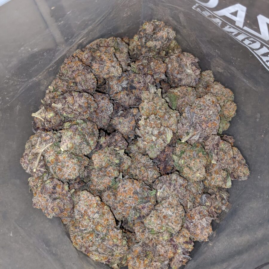 black cherry rocket 4 I Black Cherry Rocket