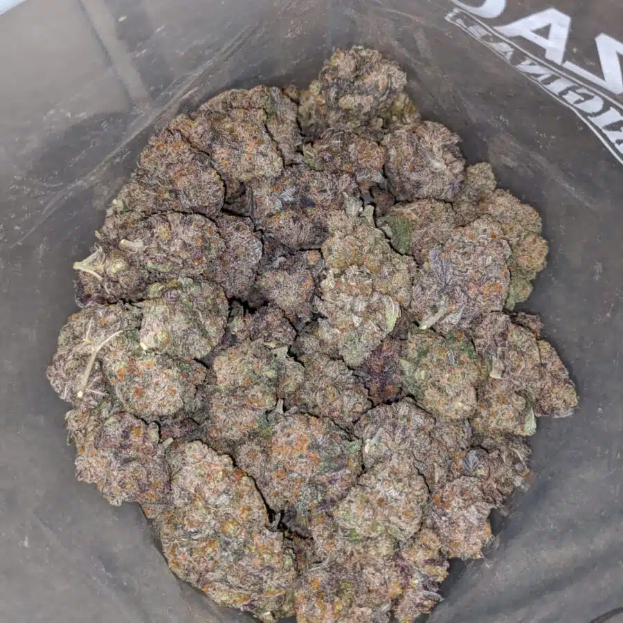 black cherry rocket 4 I Black Cherry Rocket