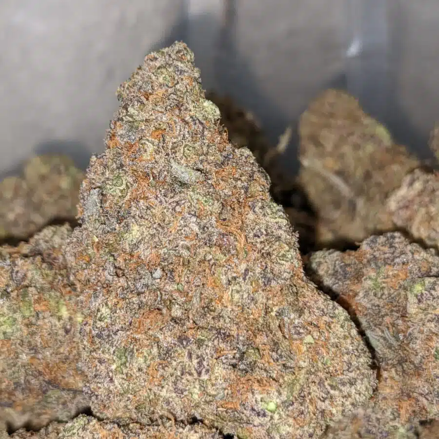 blueberry punch 1 I Blueberry Punch