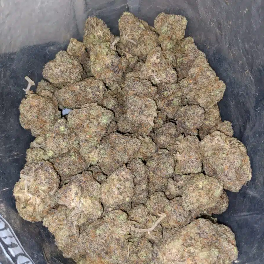 blueberry punch 4 I Blueberry Punch