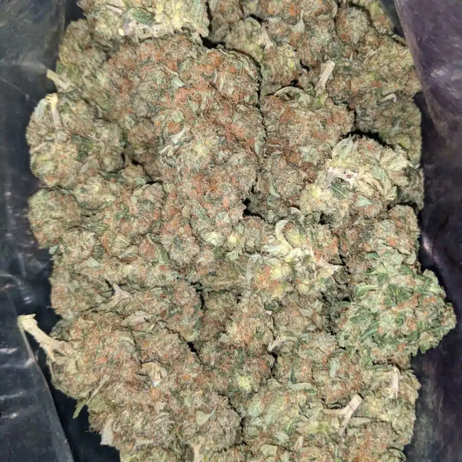 bubba kush deal fo the day 1 I Bubba Kush - *Deal Of The Day*