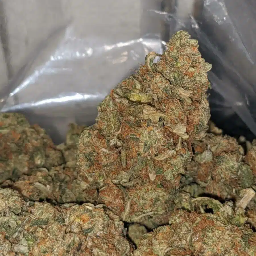 bubba kush deal fo the day 4 I Bubba Kush - *Deal Of The Day*