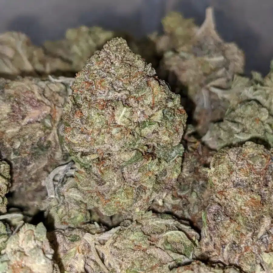 bubba pink 1 I Bubba Pink