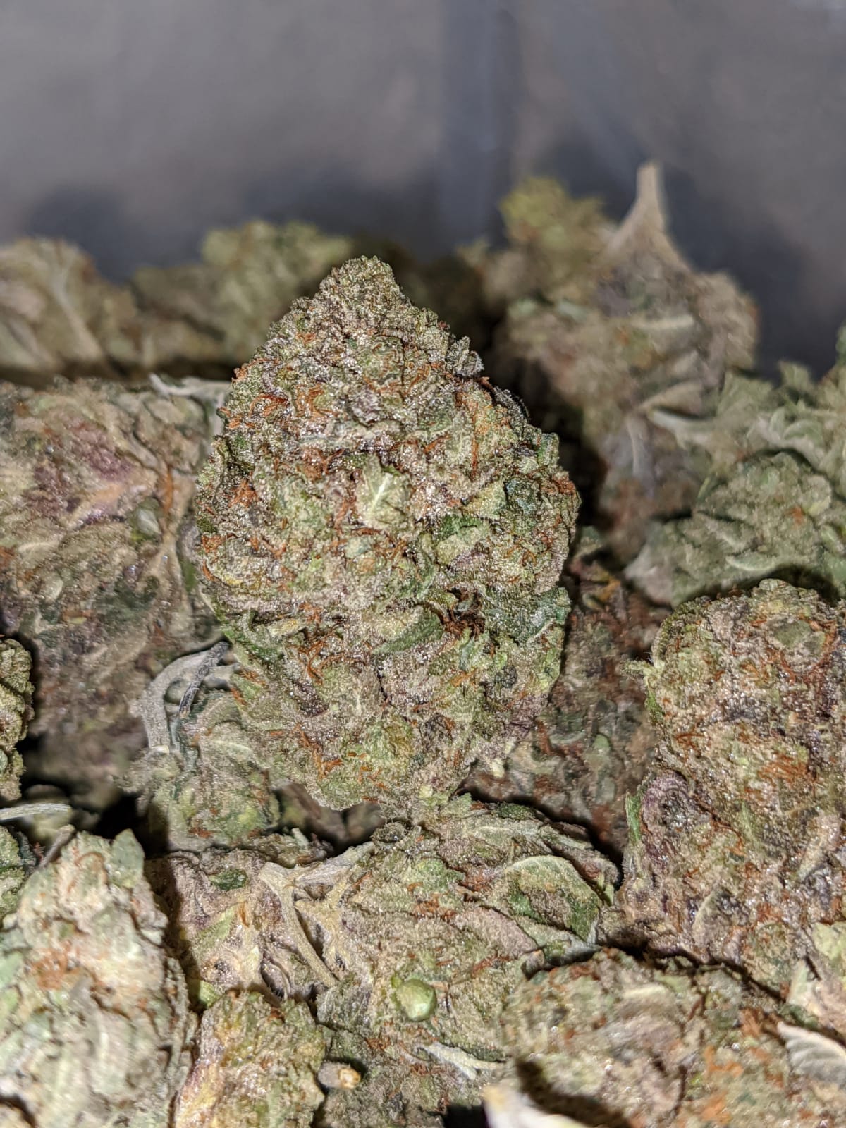 Bubba Pink - Image 4
