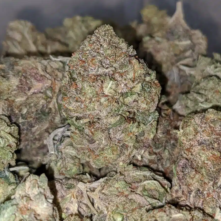 bubba pink 2 I Bubba Pink