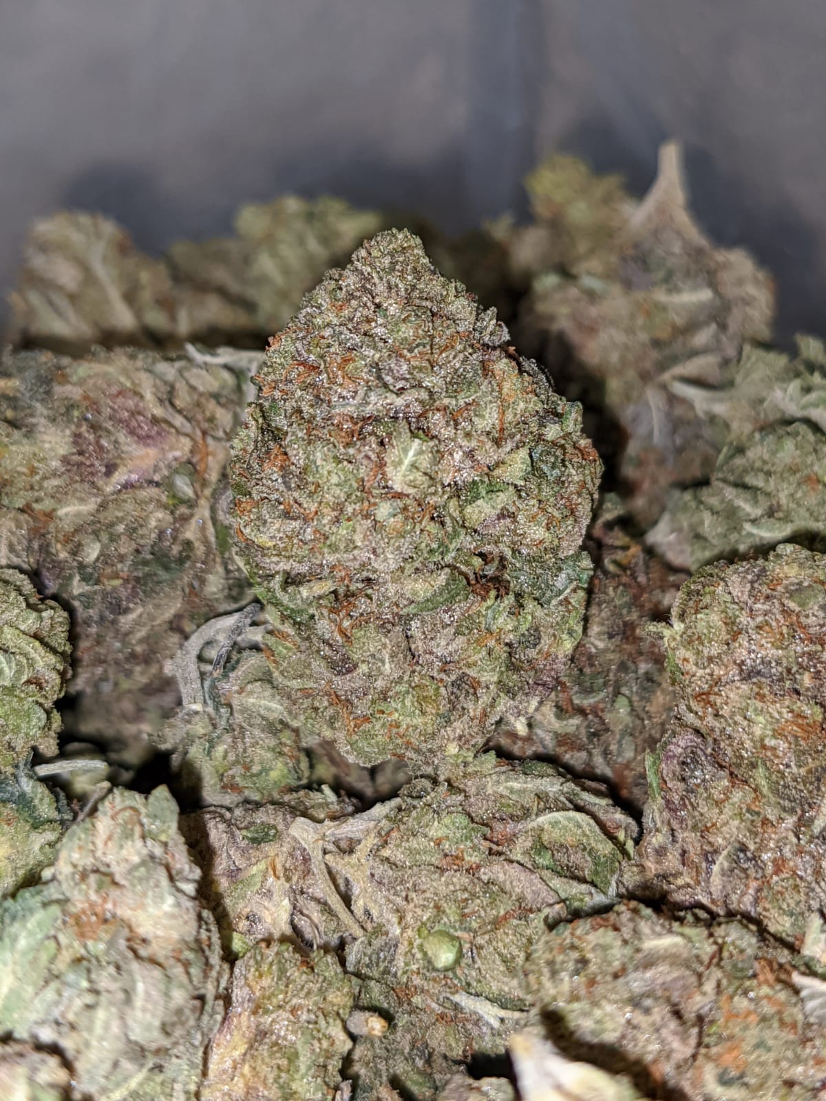 Bubba Pink - Image 7