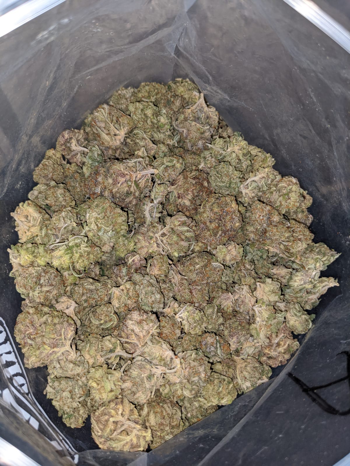 Bubba Pink - Image 6
