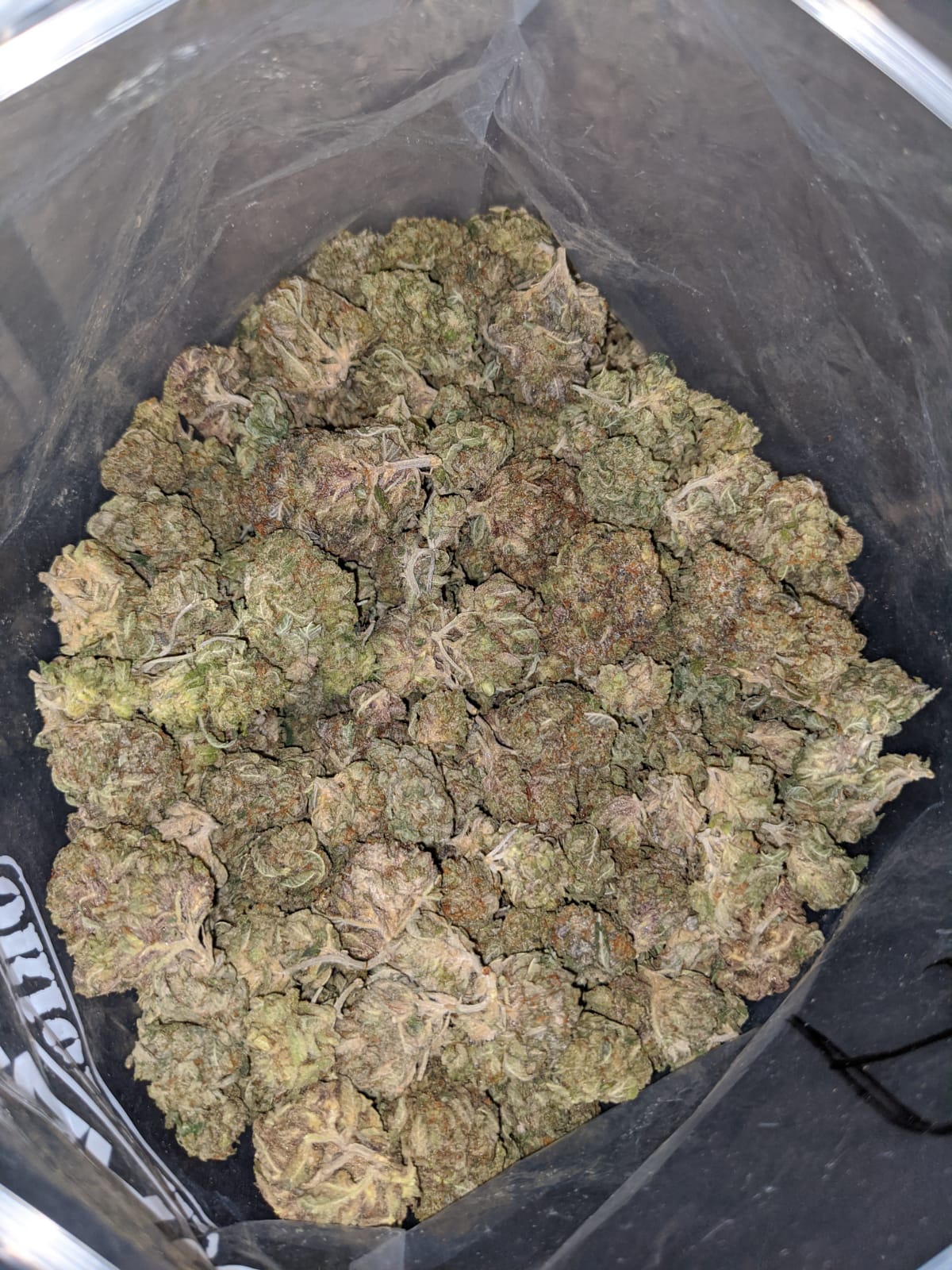 Bubba Pink - Image 5