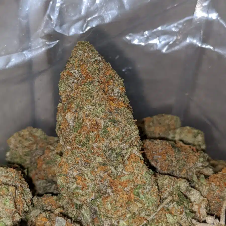 caramel cookies 1 1 I $59 Oz - Caramel Cookies