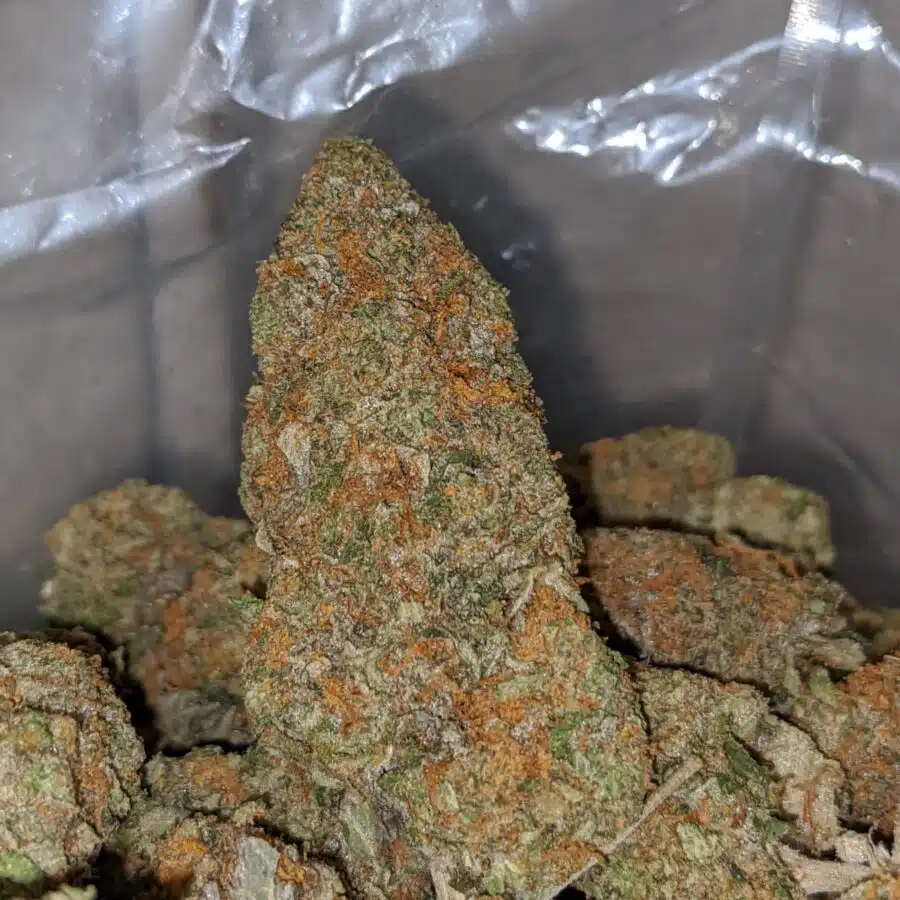 caramel cookies 2 1 I $59 Oz - Caramel Cookies