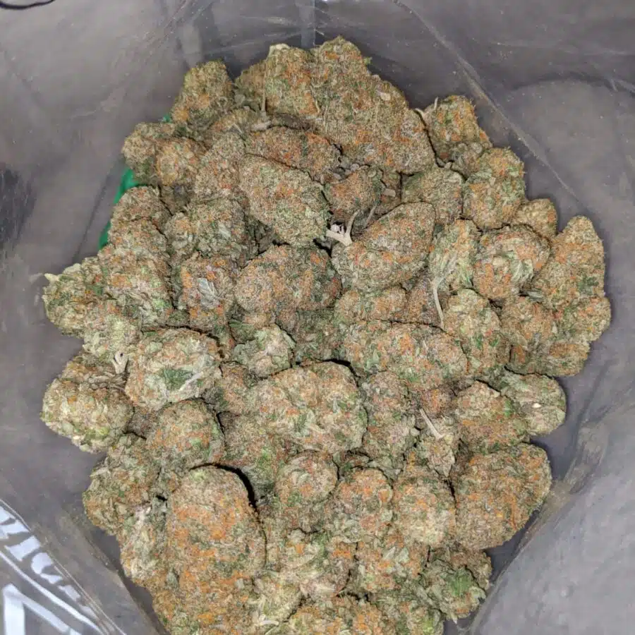 caramel cookies 3 1 I $59 Oz - Caramel Cookies