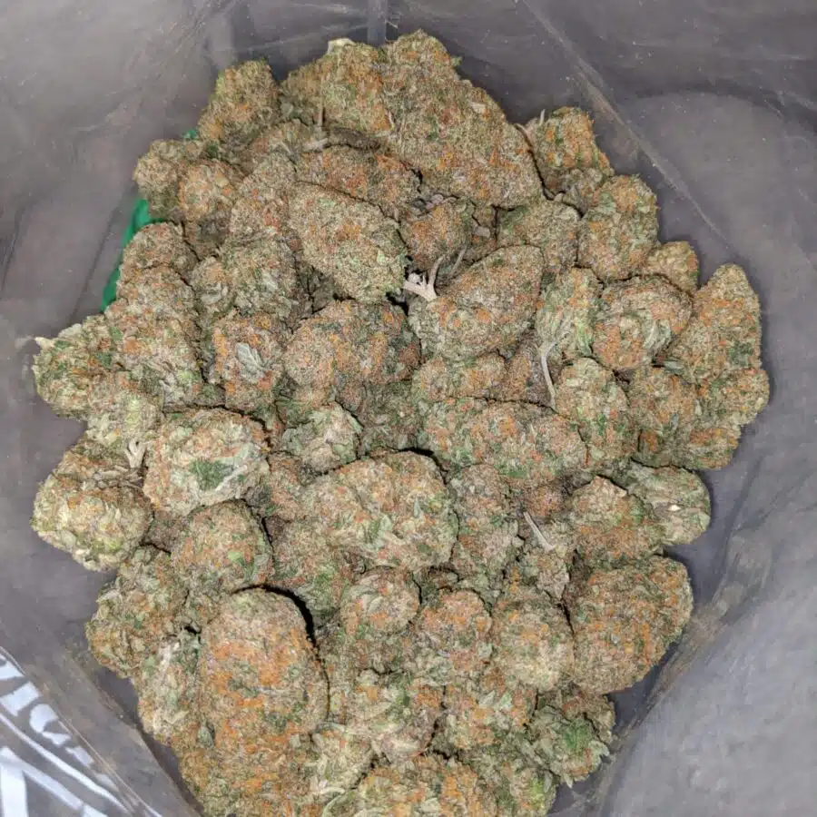 caramel cookies 4 1 I $59 Oz - Caramel Cookies