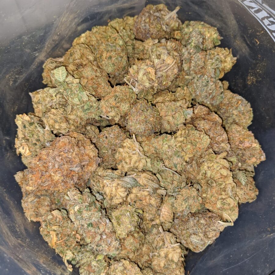 cheap banana punch 3 I Cheap Banana Punch