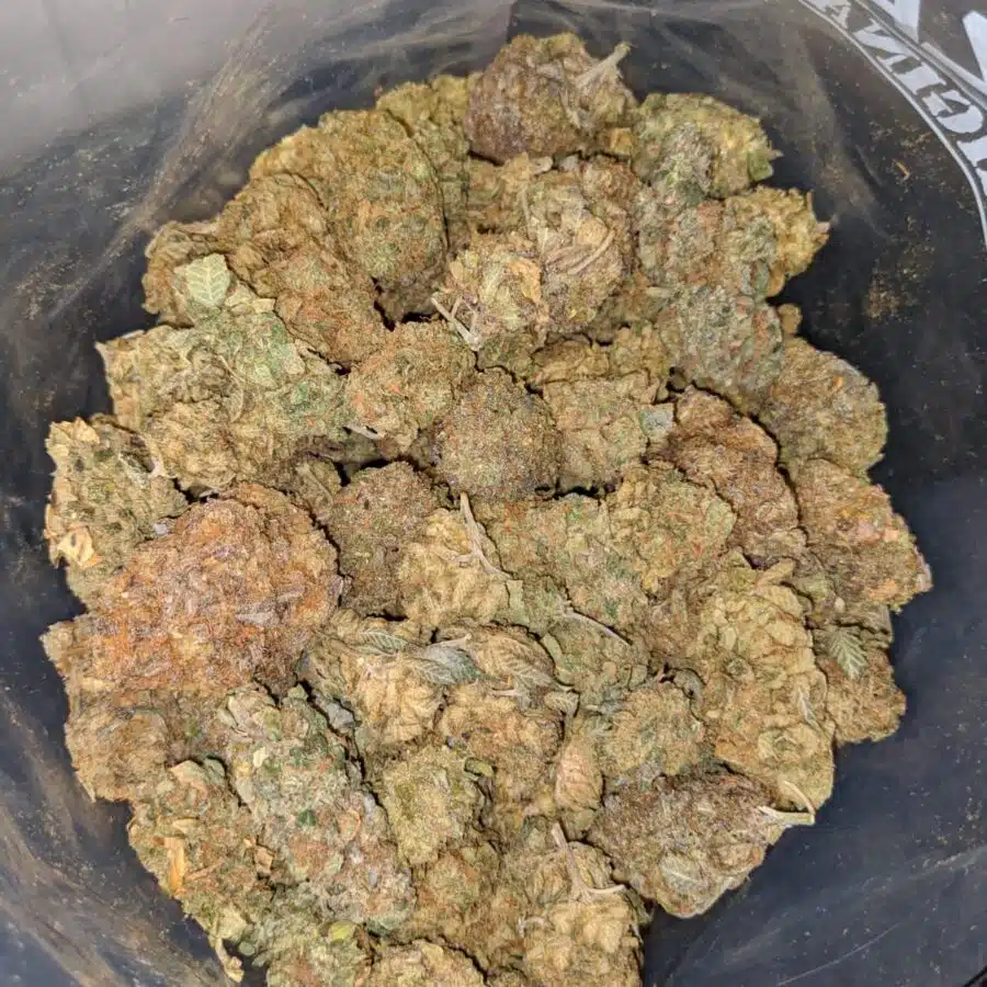 cheap banana punch 4 I Cheap Banana Punch