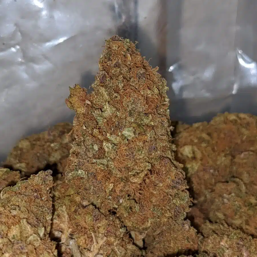 Alternative view of Cheapweed Hybrid AA+