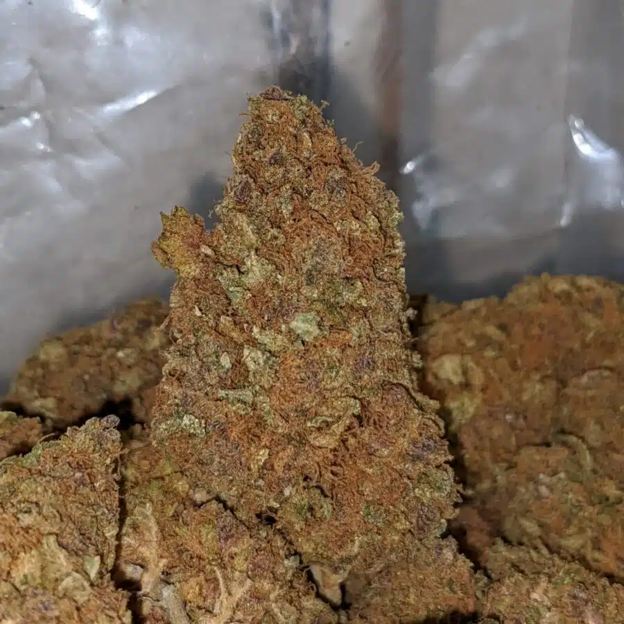 cheapweed hybrid aa 2 I Cheapweed Hybrid AA+