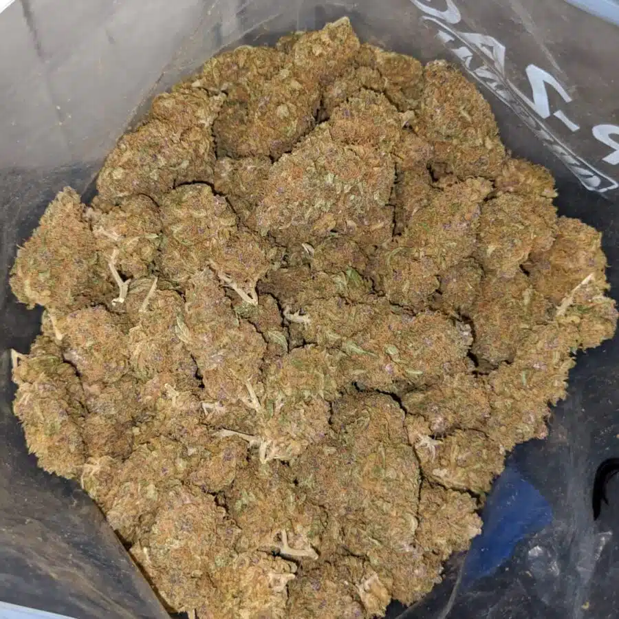 Cheapweed Hybrid AA+