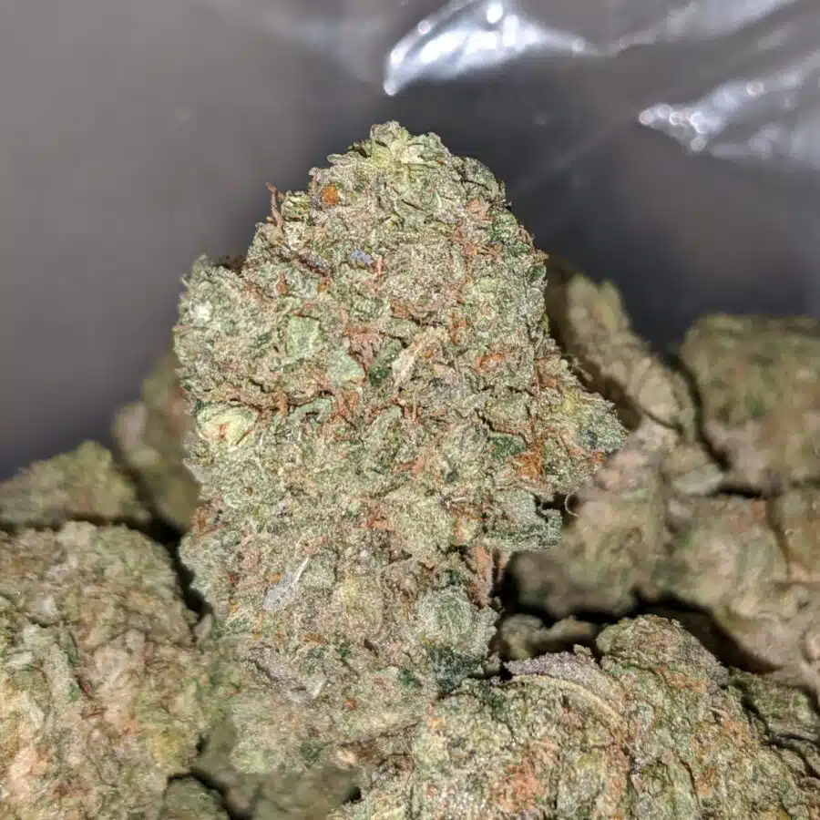 death bubba flash deal 1 I Death Bubba *FLASH DEAL*