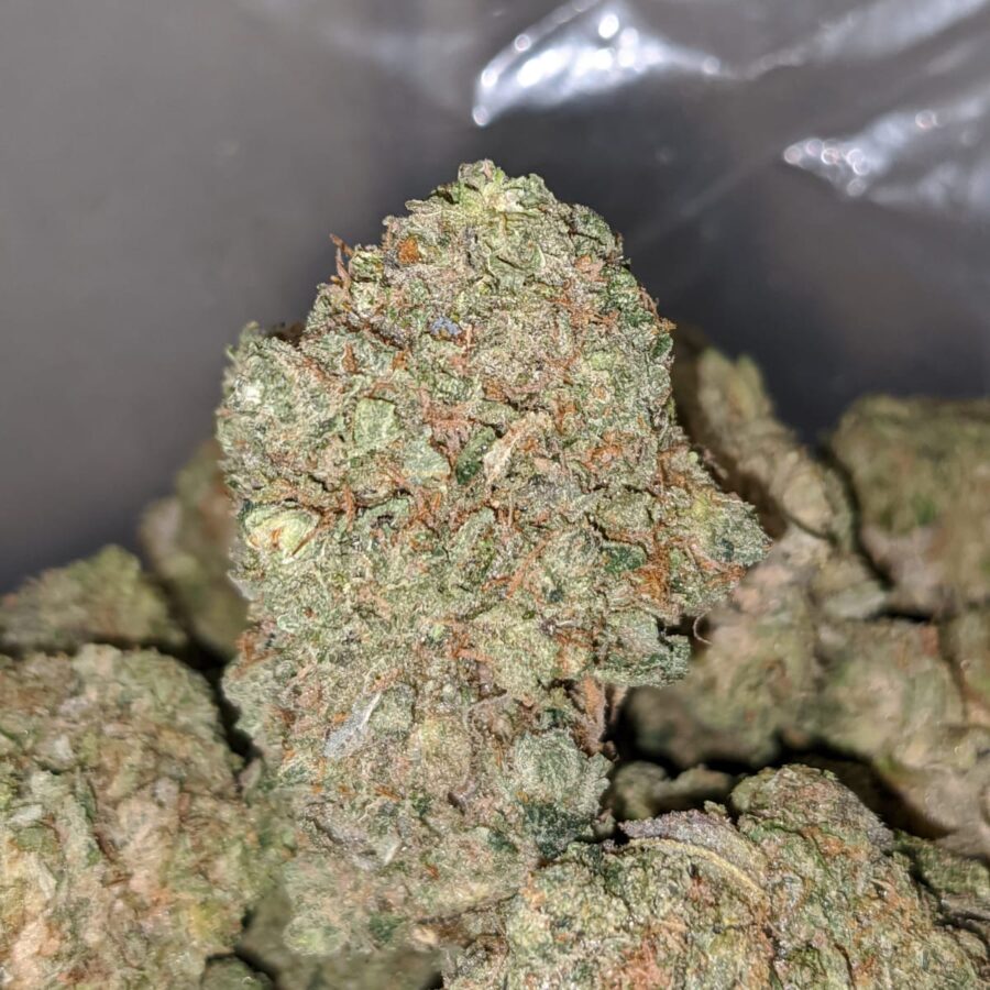 death bubba flash deal 2 I Death Bubba *FLASH DEAL*