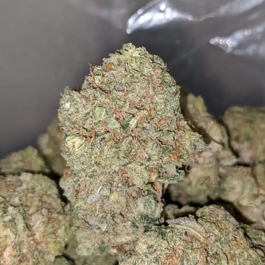 death bubba flash deal 2 I Death Bubba *FLASH DEAL*