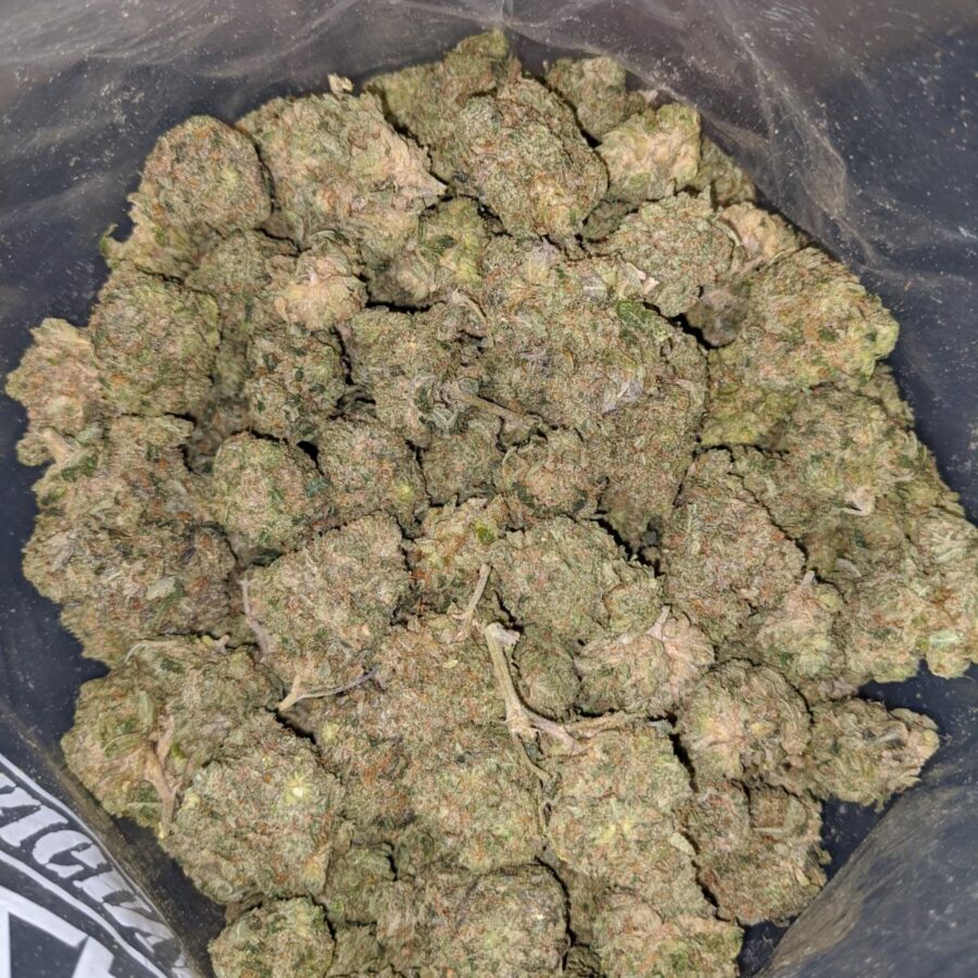 death bubba flash deal 3 I Death Bubba *FLASH DEAL*