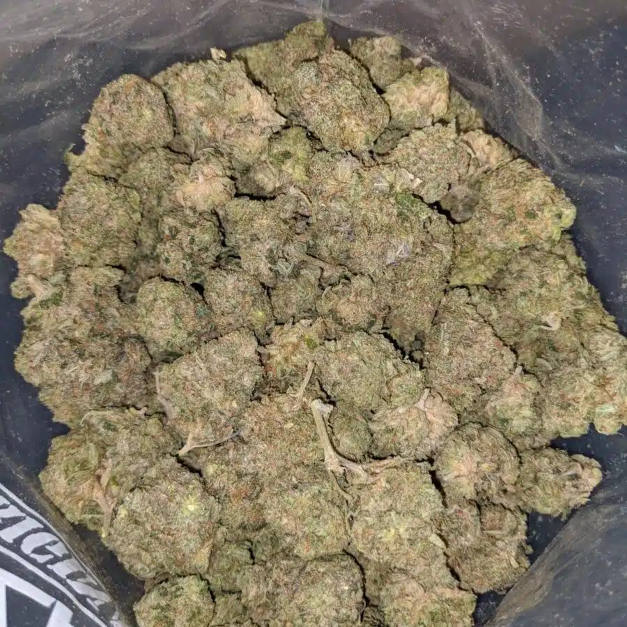 death bubba flash deal 3 I Death Bubba *FLASH DEAL*