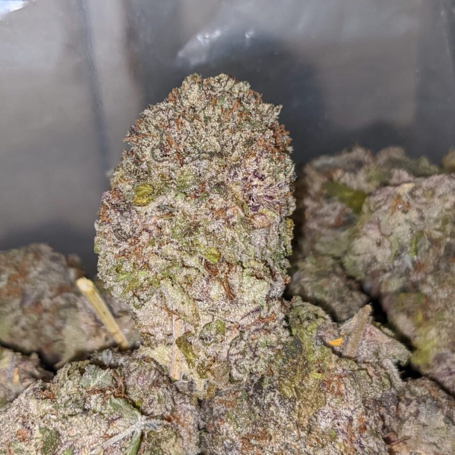 durban poison fire 1 I Durban Poison - Deal of the Day