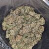 Ice Blue Kush