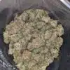 Ice Blue Kush
