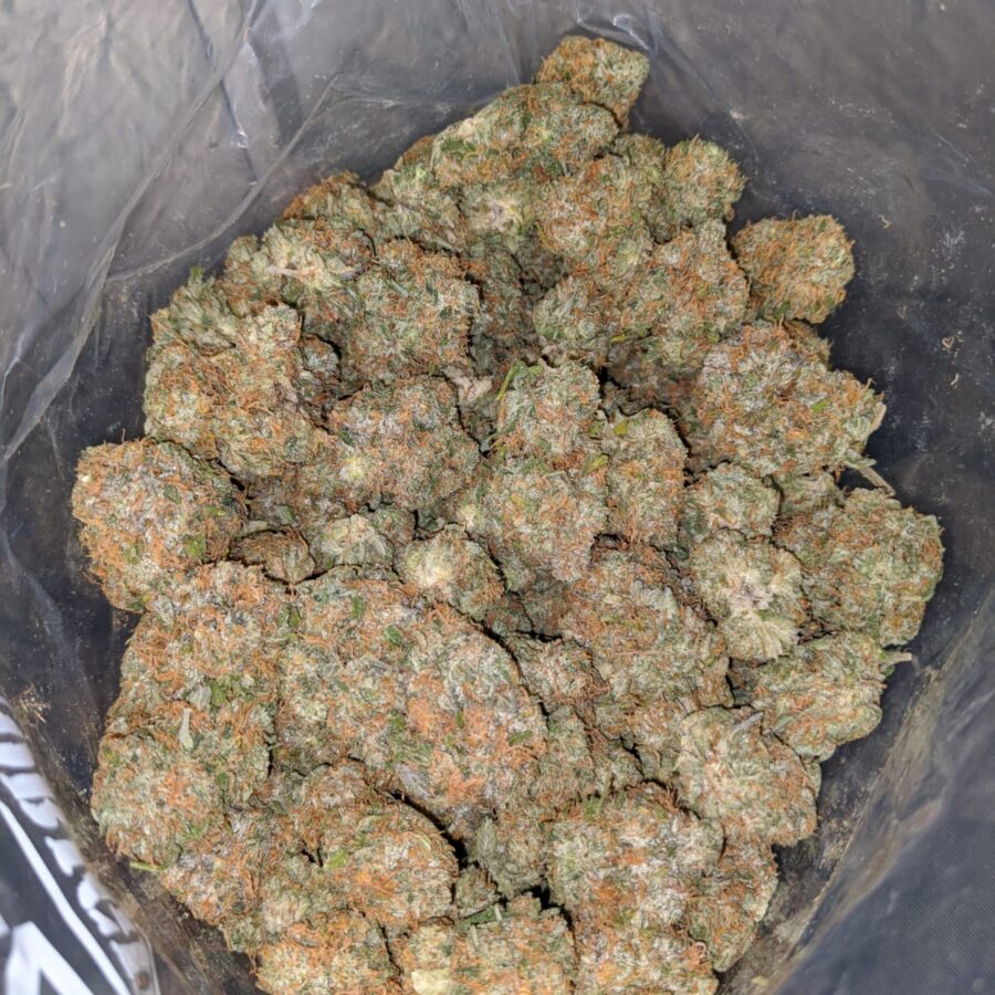 fire OG 3 I Fire OG
