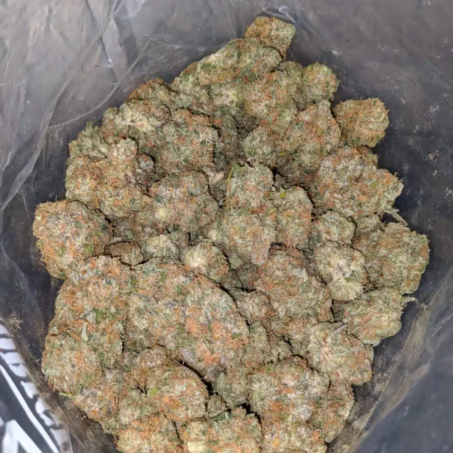 fire OG 3 I Fire OG