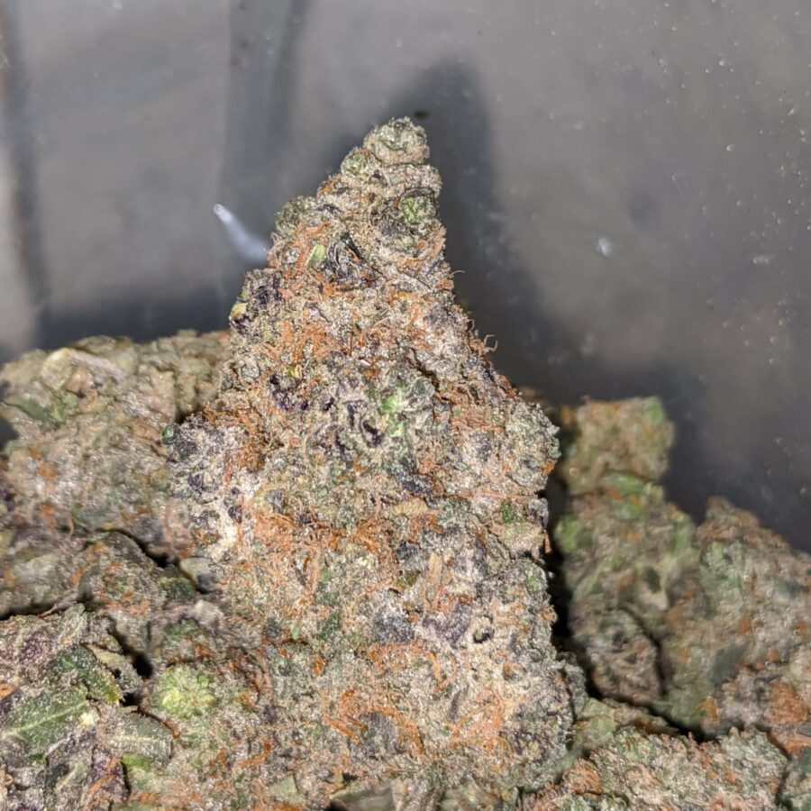 Georgia Pie - Image 5