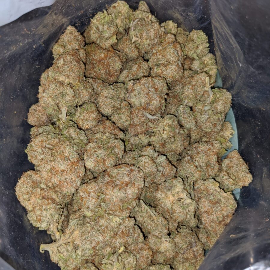 girl scout cookies 3 I Girl Scout Cookies