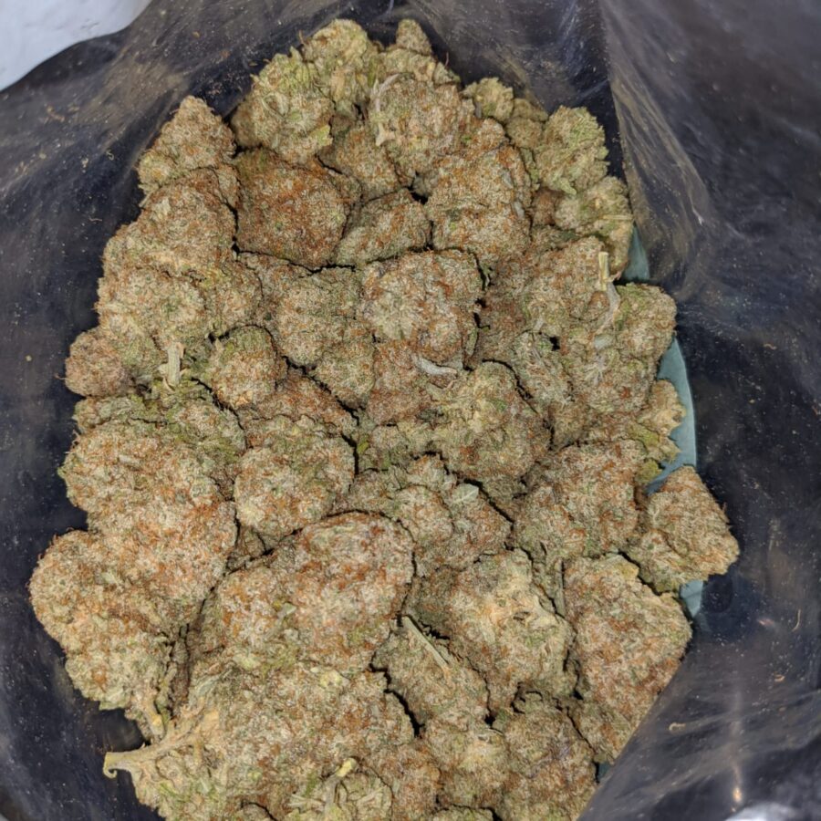 girl scout cookies 4 I Girl Scout Cookies