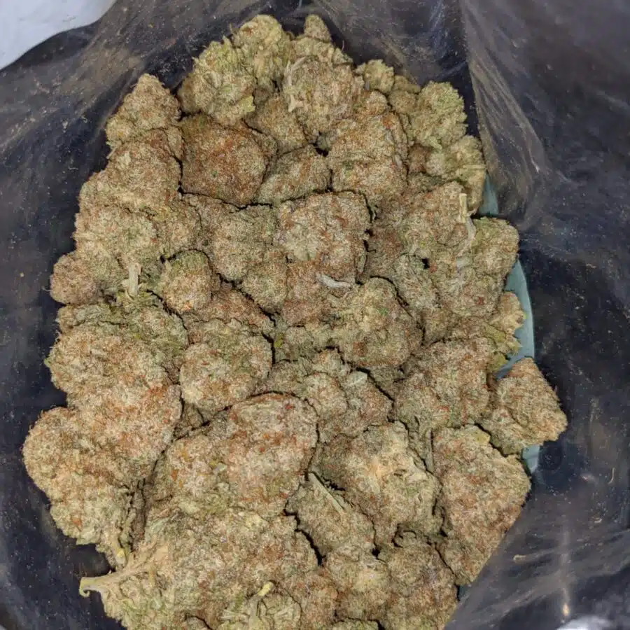 girl scout cookies 4 I Girl Scout Cookies