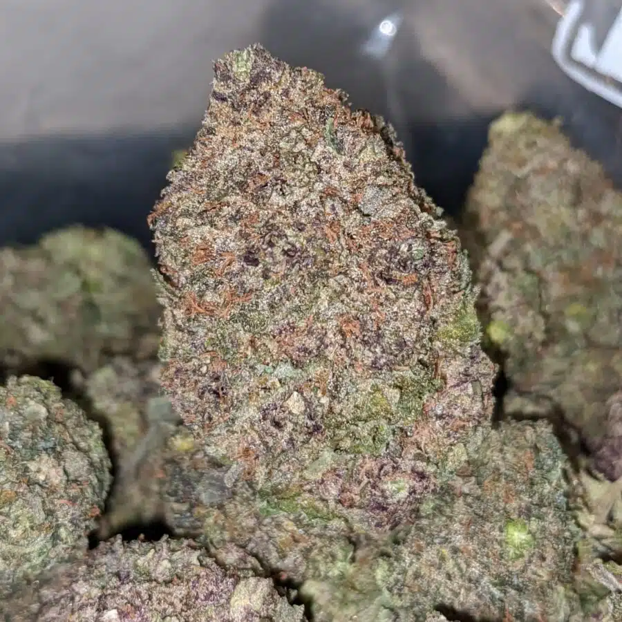 greenfarms durban poison 2 I Greenfarm's Durban Poison