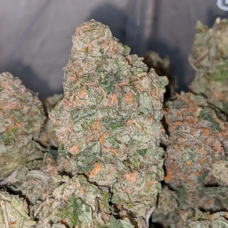guava cake 1 I $69 Oz - Guava Cake