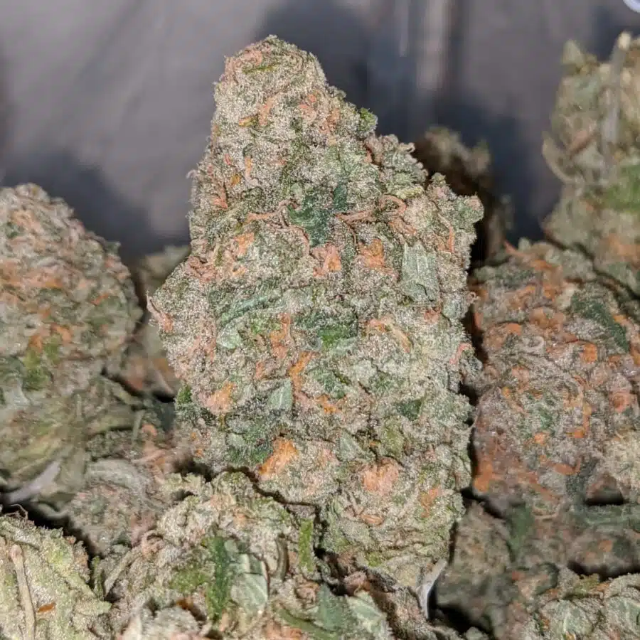 guava cake 2 I $69 Oz - Guava Cake