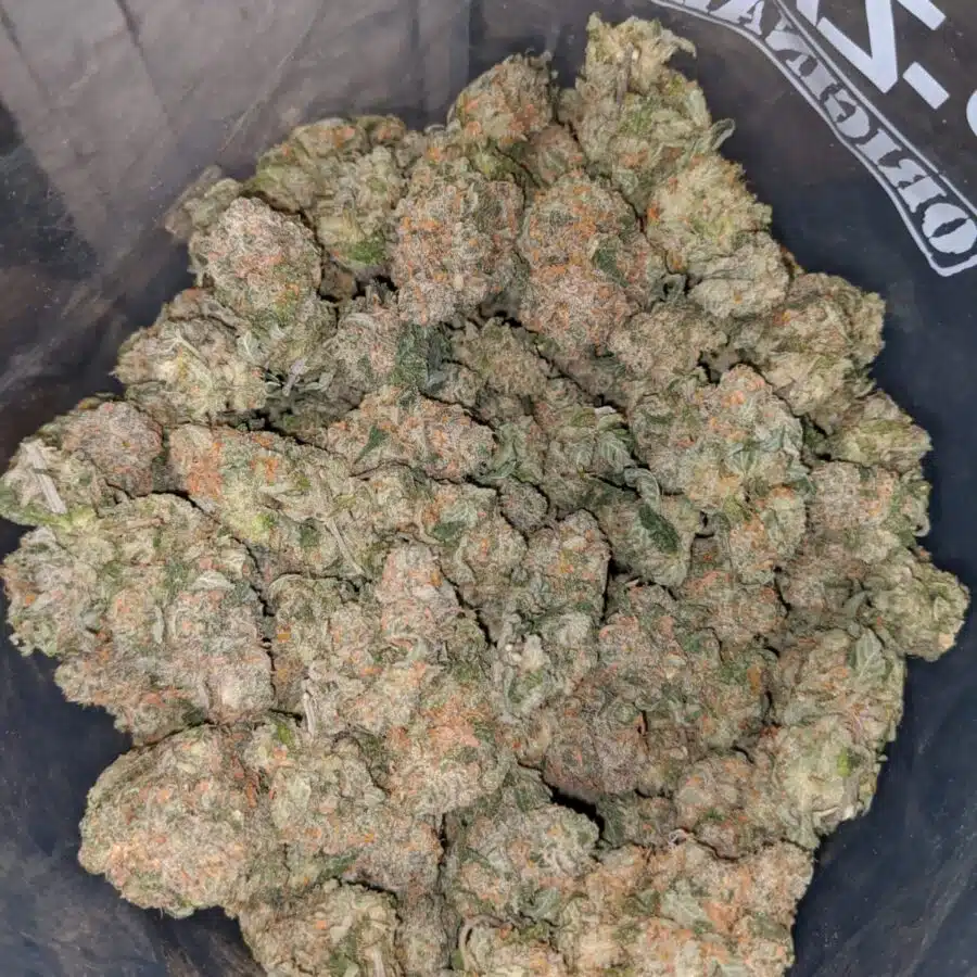 guava cake 3 I $69 Oz - Guava Cake