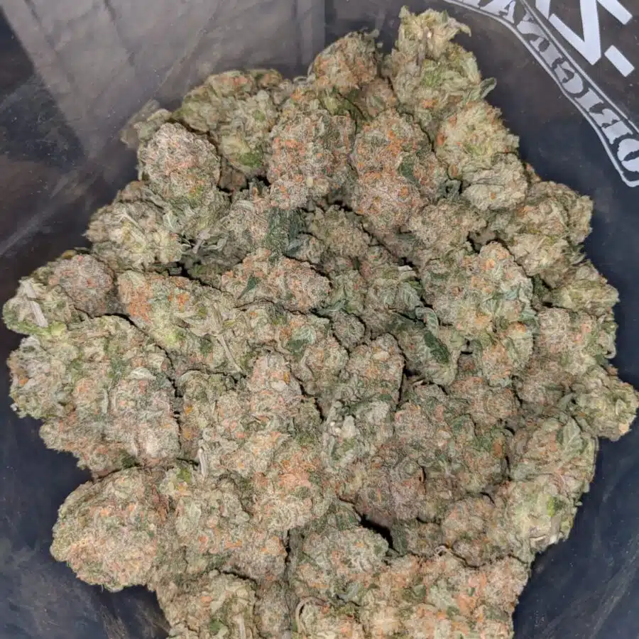 guava cake 4 I $69 Oz - Guava Cake