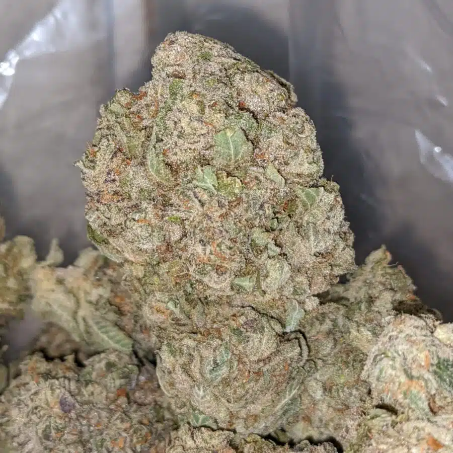 hawaiian diesel 1 I Hawaiian Diesel