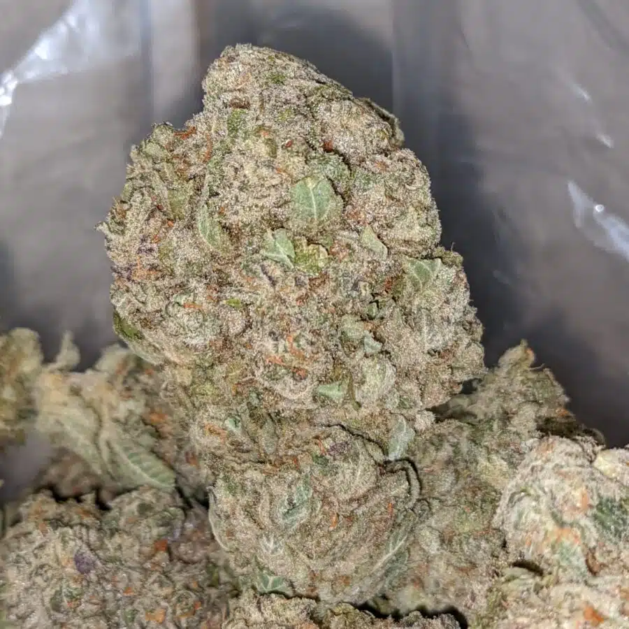 Alternative view of Hawaiian Diesel