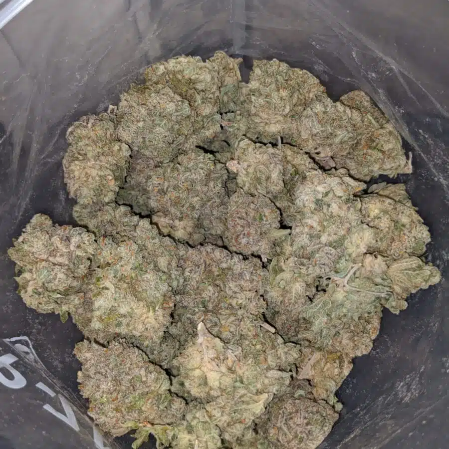 hawaiian diesel 3 I Hawaiian Diesel