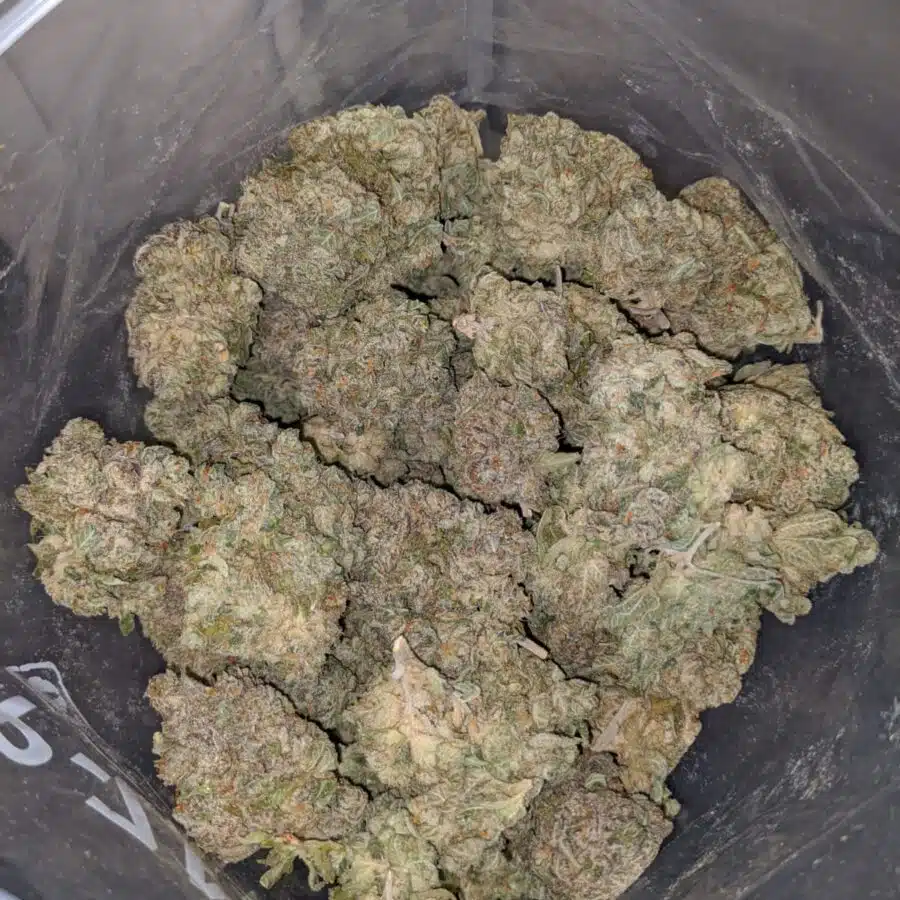 Hawaiian Diesel
