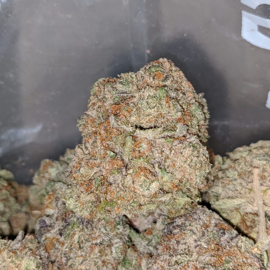 Juicy Blackberry - Image 6
