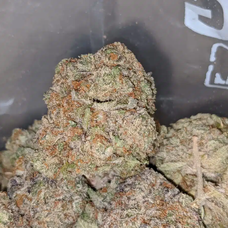 juicy blackberry 2 I Juicy Blackberry