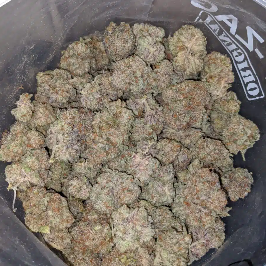 juicy blackberry 4 I Juicy Blackberry