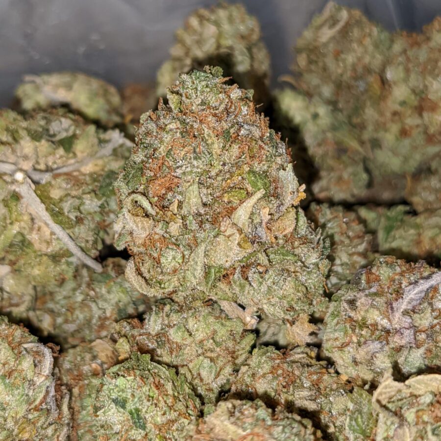 kush mints dod 1 I Rockstar Bubba Bulk Special
